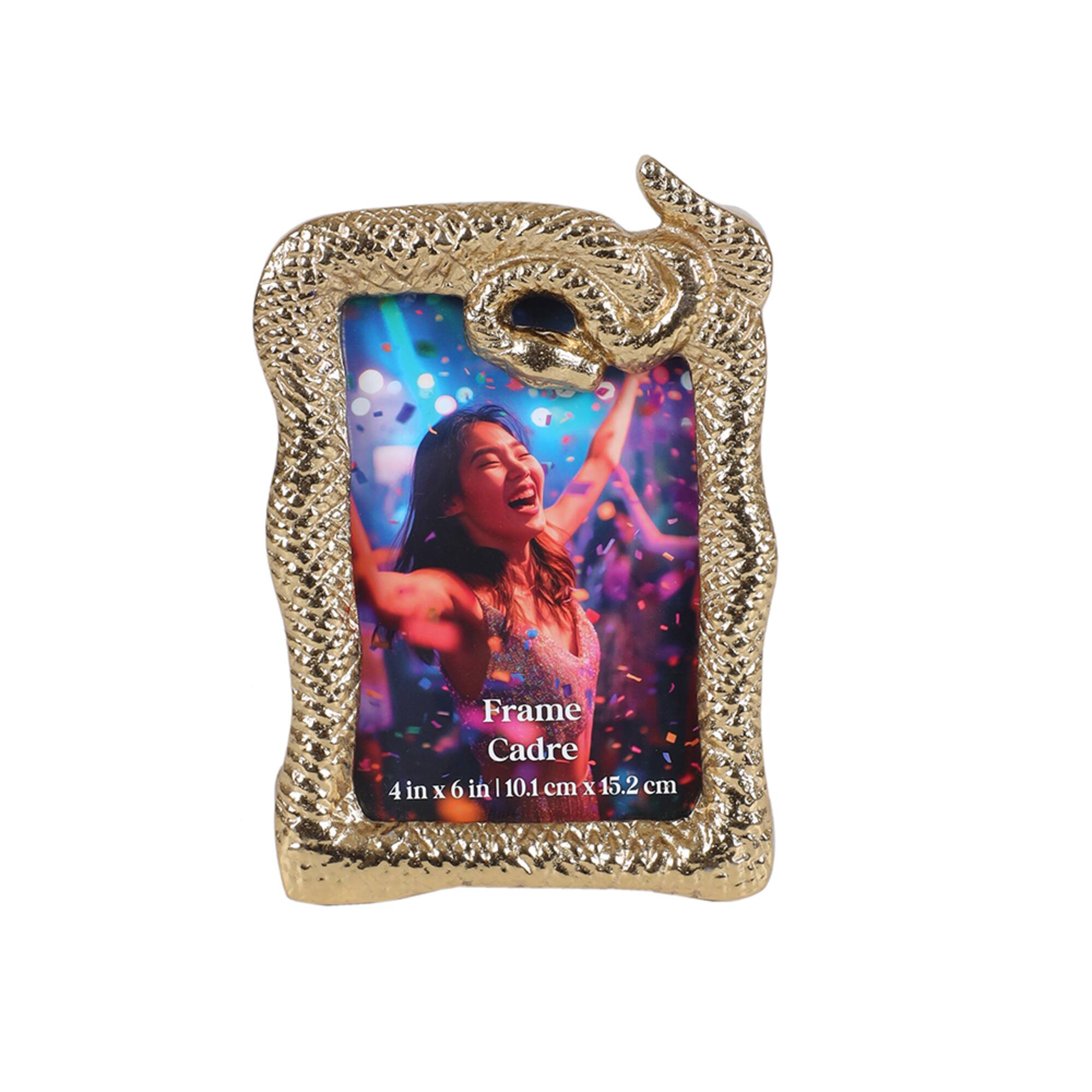 4" x 6" Gold Snake Frame by Ashland®